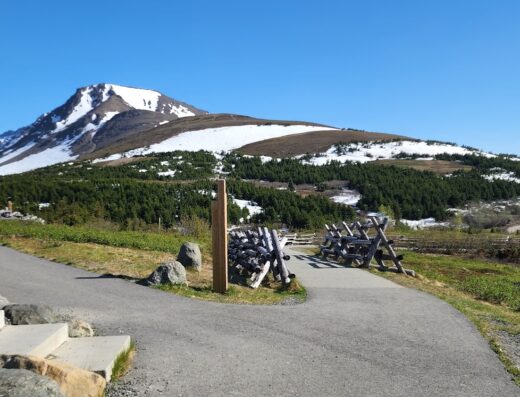 Anchorage Overlook Trail