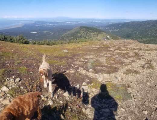 Bear Valley – Golden View Trailhead