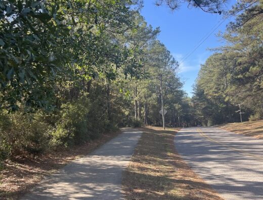 Benjamin J Estrada Eagle Scout Walking Trail
