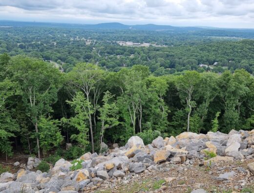 Blevins Gap Nature Preserve (South Trailhead)