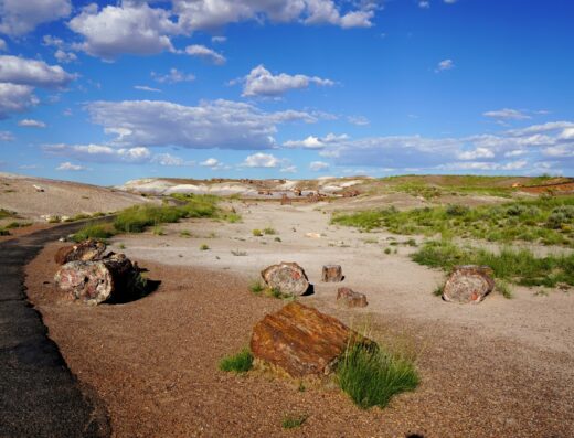Blue Mesa Trailhead