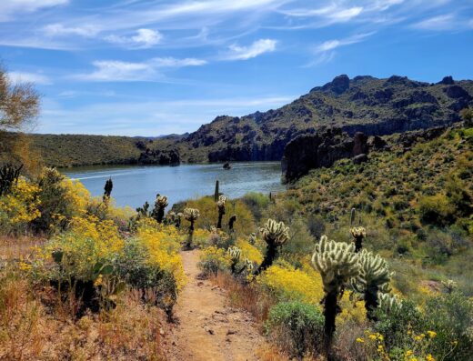 Butcher Jones Hiking Trailhead