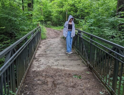 Chapman Mountain Nature Preserve