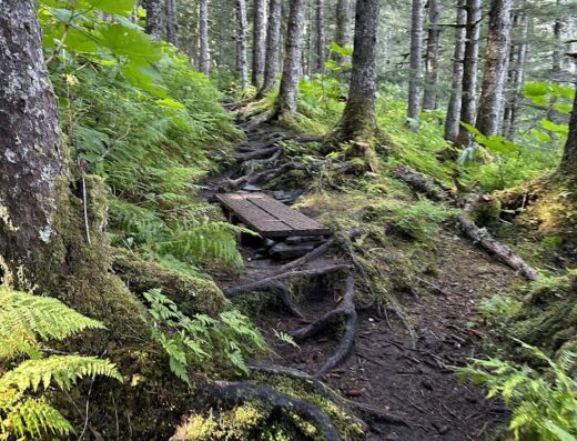 Diamond Creek Trailhead