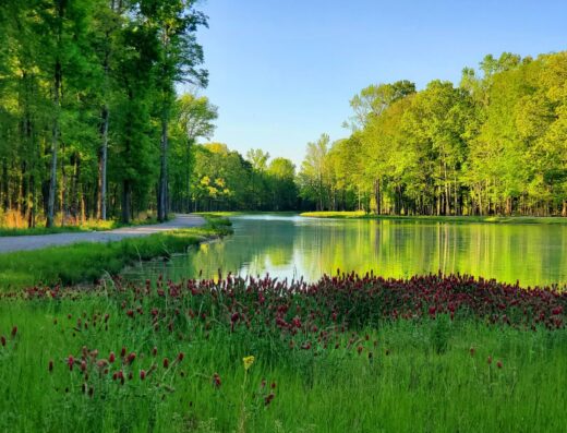 Elgie’s Walk Greenway