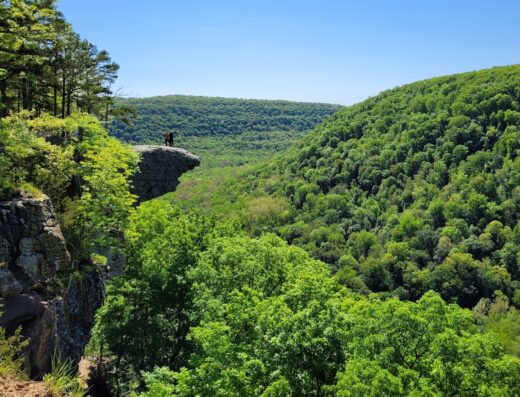Hawksbill Crag/Whitaker Point