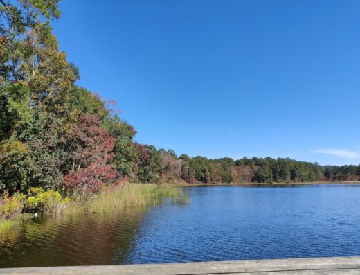 Huntsville State Park