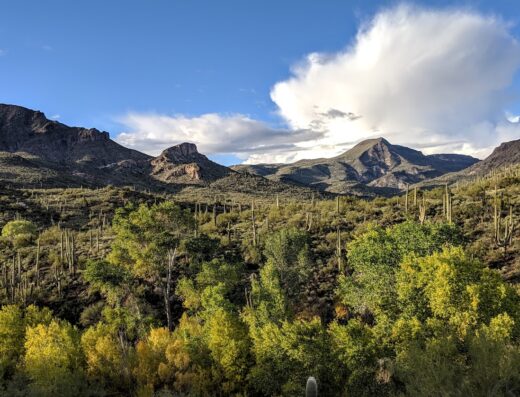 Jewel of the Creek Preserve