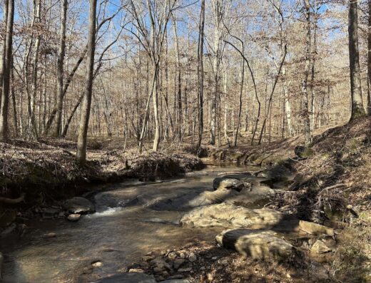 John B. Scott Forever Wild Trail – Trailhead