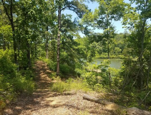 Lake Harris North Dam
