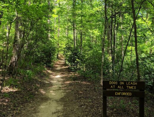 Lake Lurleen State Park
