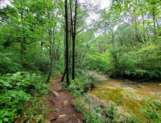 Land Trust Wildflower Trail