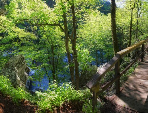 Little Missouri Falls