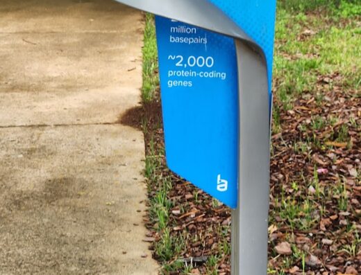 McMillian Park Double Helix Trail