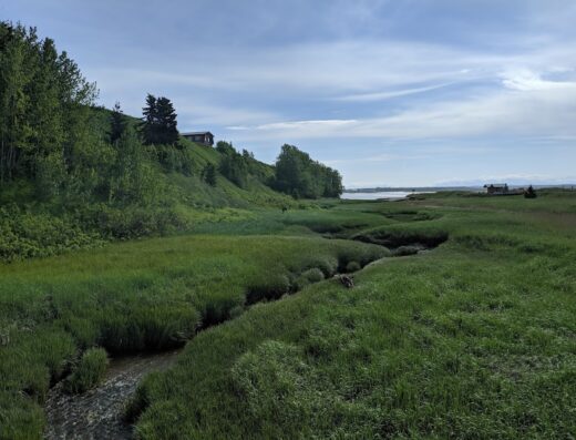 Meeks Trail to Kenai North Beach