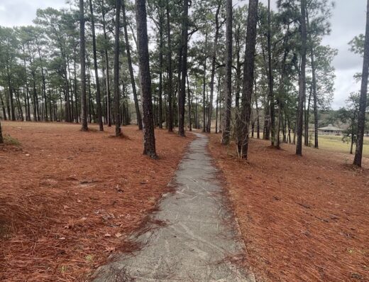 Mobile History Trail