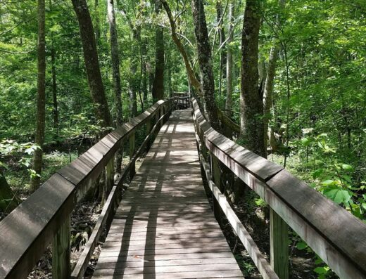 Mobile Japanese Garden