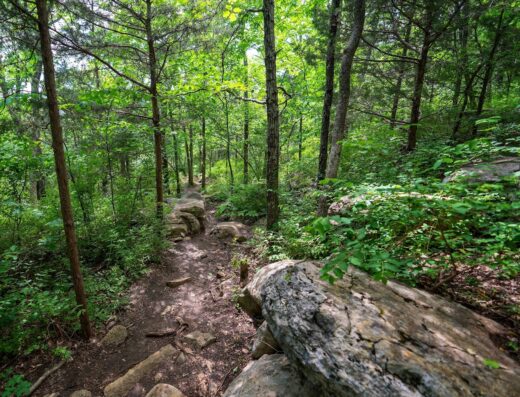 Monte Sano Nature Preserve (Cold Springs Trailhead)