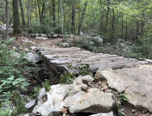 Monte Sano Nature Preserve (Oak Park Trailhead)