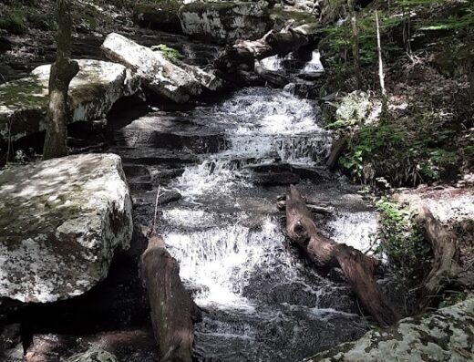 Mossy Bluff National Nature Trail
