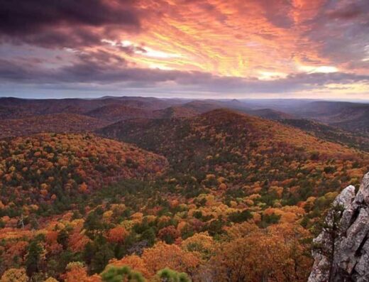 Ouachita National Forest
