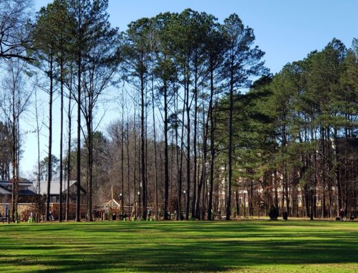Randall Family Park & Trailhead