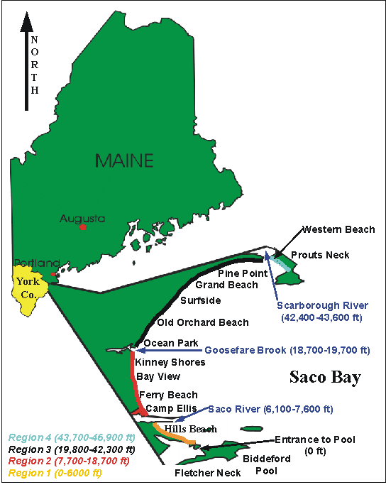 Saco Bay Beach Morphology