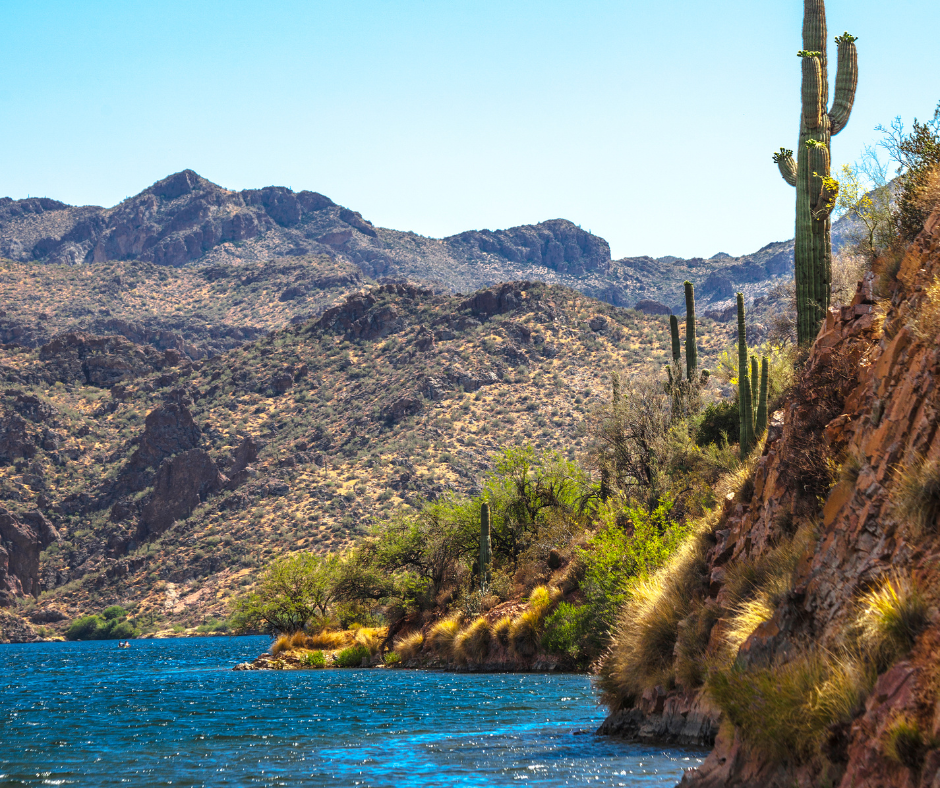 Map Of Saguaro Lake