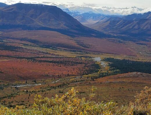 Savage Alpine Trailhead