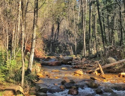 See Canyon Trailhead
