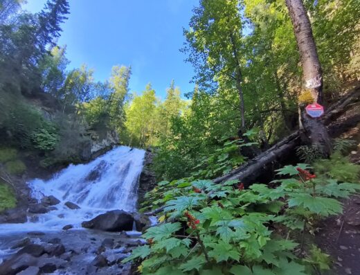 South Fork Falls Trailhead