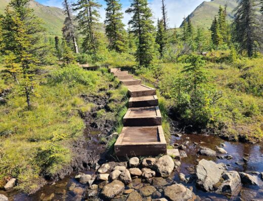 South Fork Valley Trailhead