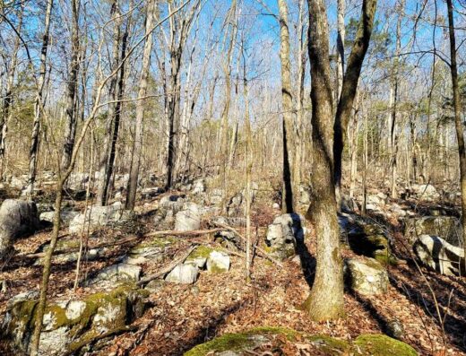 Spragins Hollow Trailhead