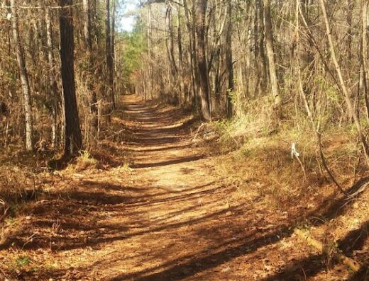 Swayback Bridge Trail
