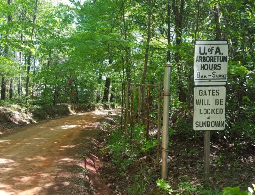 The University of Alabama Arboretum