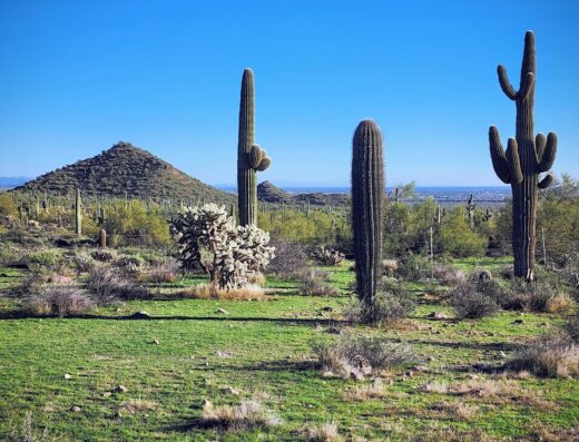 Usery Mountain Regional Park