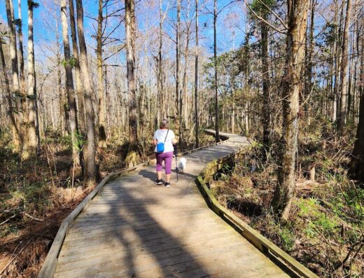 Village Point Park Preserve