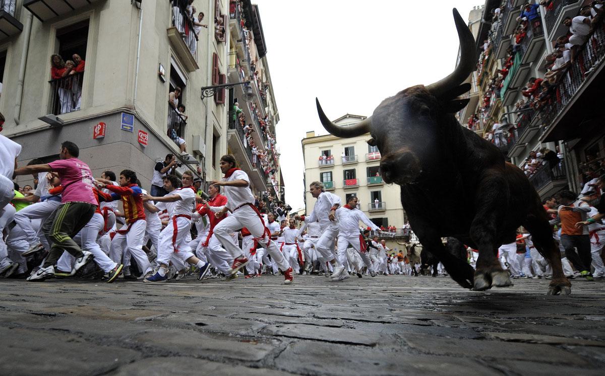 Running Of The Bulls Wallpaper