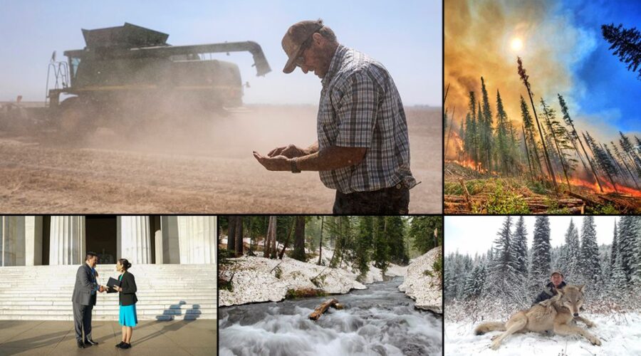 The Top 5 Nevada Environmental Stories of 2026 So Far