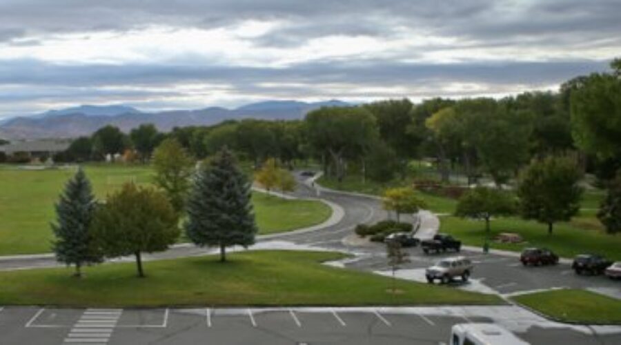 Nevada State Fair 2026: A Traveler’s Guide to Mills Park in Carson City