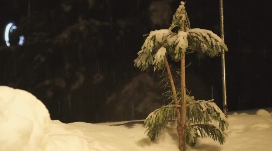 The 17% Snowpack Emergency: Nevada Residents Should Prepare for Drought