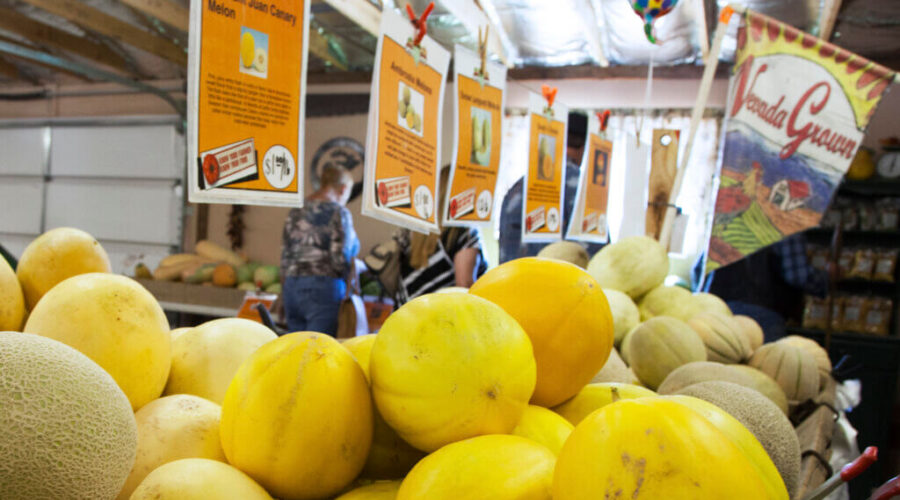 Fallon: Nevada State Fair Agricultural Competitions