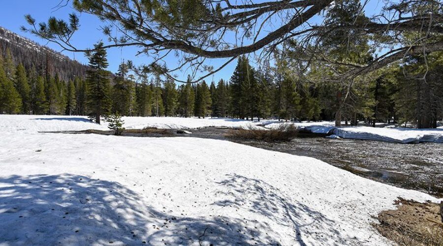 Historically Bad Snow Season Leaves Nevada’s Water Future in Jeopardy