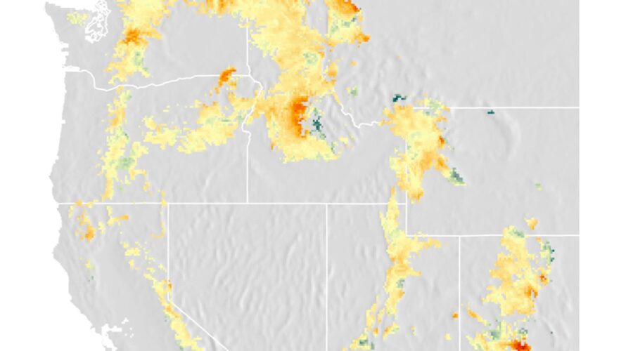 Nevada’s Summer Water Plan: Living With 17% Snowpack