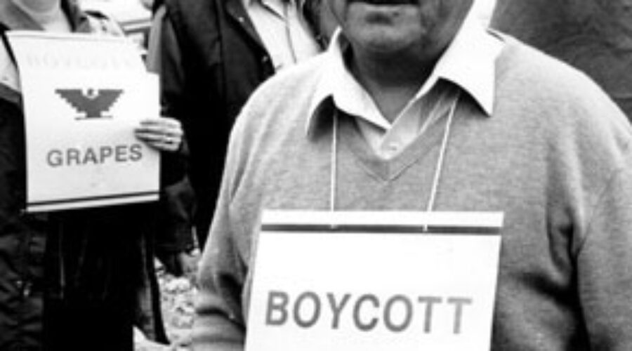 Allegations Against Labor Leader Spark Nevada Cesar Chavez Day Review