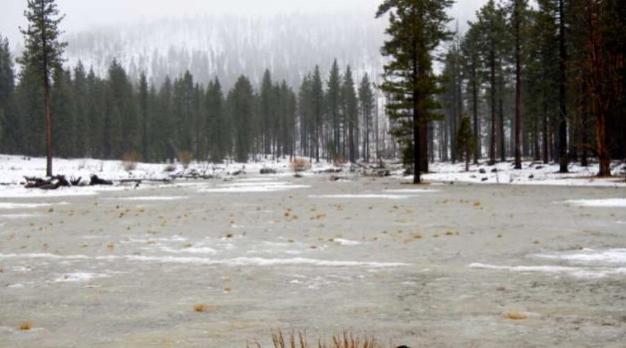 Lake Tahoe Property Values Drop Amid 17% Snowpack Water Concerns
