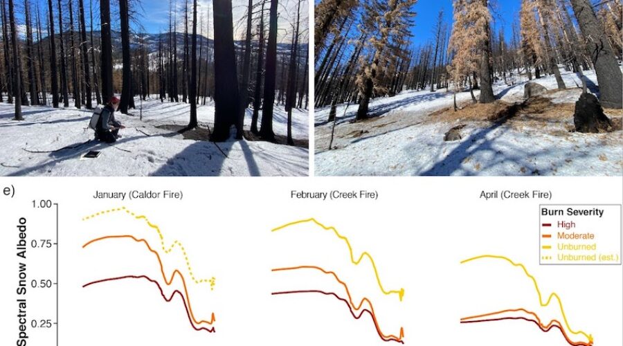 Lake Tahoe Snowpack Crash: Nevada Braces for Severe Summer Drought